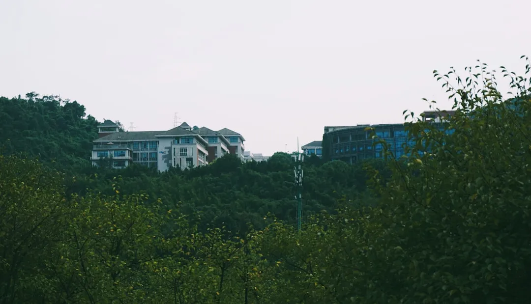 2025年广州装修市场装饰材料价格走势与选材建议